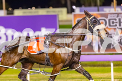 2025_PACEPIX_GP12092025_Race8_DelBocavistaBay_WIN_WEB-3