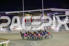 2025_PACEPIX_GP12092025_Race8_DelBocavistaBay_WIN_WEB-4