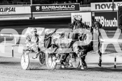 2025_PACEPIX_GP31122025_RACE8_Delulu_WIN_WEB-11