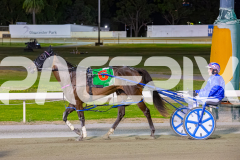 2025_PACEPIX_GP31122025_RACE8_Delulu_WIN_WEB-22