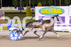 RACE 8 - Delulu