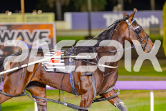 2025_PACEPIX_GP27052025_RACE8_DiamondBay_WIN_WEB-10