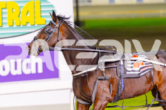 2025_PACEPIX_GP27052025_RACE8_DiamondBay_WIN_WEB-14