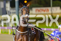 2025_PACEPIX_GP27052025_RACE8_DiamondBay_WIN_WEB-16