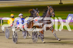 2025_PACEPIX_GP27052025_RACE8_DiamondBay_WIN_WEB-4