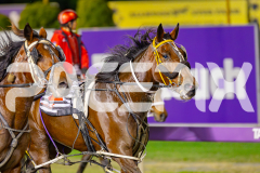 2025_PACEPIX_GP16052025_Race8_Douseeme_WIN_WEB-10