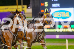 2025_PACEPIX_GP16052025_Race8_Douseeme_WIN_WEB-11