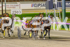 2025_PACEPIX_GP16052025_Race8_Douseeme_WIN_WEB-6