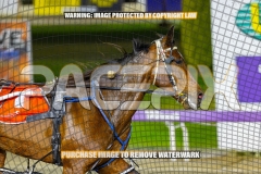2026_PACEPIX_GP02102026_Race8_EastbroChrissy_WIN_WEB-14