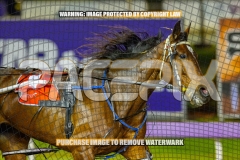 2026_PACEPIX_GP02102026_Race8_EastbroChrissy_WIN_WEB-3