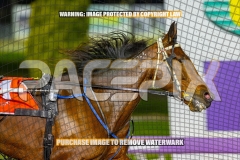 2026_PACEPIX_GP02102026_Race8_EastbroChrissy_WIN_WEB-4