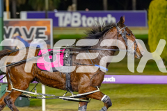 2026_PACEPIX_GP26052026_RACE8_ElEdwin_WIN_WEB-11