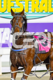 2026_PACEPIX_GP26052026_RACE8_ElEdwin_WIN_WEB-13