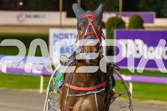 2023_HCC_GP12082025_Race8_Elegant-Eagle_WEB-8
