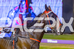 2025_PACEPIX_GP12122025_RACE8_ERA_WIN_WEB-16