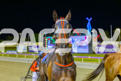 2025_PACEPIX_GP12122025_RACE8_ERA_WIN_WEB-22