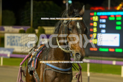 Fiord_04-08-2026_WIN_Gloucester-Park_8__01