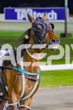 2025_PACEPIX_GP07102025_RACE8_FollowMyStride_WIN_WEB-17