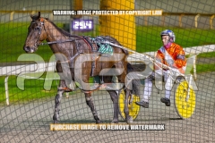 2026_PACEPIX_GP09102026_RACE8_FrancoMecca_WIN_WEB-13