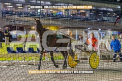 2026_PACEPIX_GP09102026_RACE8_FrancoMecca_WIN_WEB-19