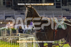2026_PACEPIX_GP09102026_RACE8_FrancoMecca_WIN_WEB-20