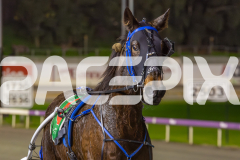 2025_PACEPIX_GP27062025_RACE8_FRANCO-MOTU_WIN_WEB-10