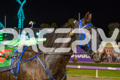 2025_PACEPIX_GP27062025_RACE8_FRANCO-MOTU_WIN_WEB-12