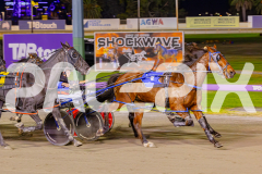 2025_PACEPIX_GP25042025_RACE8_FrancoSheriff_WIN_WEB-10