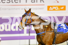 2025_PACEPIX_GP25042025_RACE8_FrancoSheriff_WIN_WEB-30
