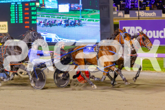 2025_PACEPIX_GP25042025_RACE8_FrancoSheriff_WIN_WEB-8
