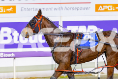 2026_PACEPIX_GP30062026_Race8_FuegoCruzado_WIN_WEB-14