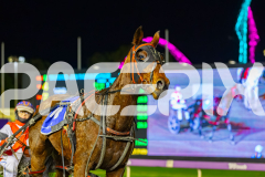 2026_PACEPIX_GP30062026_Race8_FuegoCruzado_WIN_WEB-16
