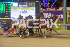 Race 8 - Full Swing Denario