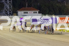 2025_PACEPIX_GP17102025_Race8_GetnWiggyWithit_WIN_WEB-1