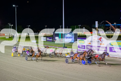 2025_PACEPIX_GP17102025_Race8_GetnWiggyWithit_WIN_WEB-21