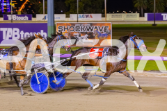 2025_PACEPIX_GP17102025_Race8_GetnWiggyWithit_WIN_WEB-7