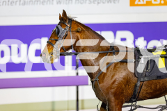 2026_PACEPIX_GP03072026_Race8_HoldTheAmmo_WIN_WEB-12