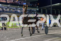 2026_PACEPIX_GP03072026_Race8_HoldTheAmmo_WIN_WEB-14