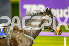 2025_PACEPIX_GP04072025_Race8_HuntTheMagic_WIN_WEB-10