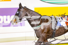 2025_PACEPIX_GP04072025_Race8_HuntTheMagic_WIN_WEB-14
