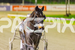 2025_PACEPIX_GP04072025_Race8_HuntTheMagic_WIN_WEB-15