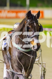 2025_PACEPIX_GP04072025_Race8_HuntTheMagic_WIN_WEB-16