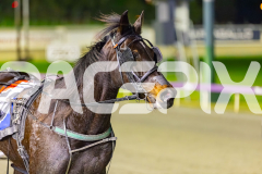 2025_PACEPIX_GP04072025_Race8_HuntTheMagic_WIN_WEB-17