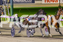 2025_PACEPIX_GP04072025_Race8_HuntTheMagic_WIN_WEB-5