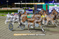 RACE 8 - Ideal Tomado