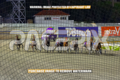 2026_PACEPIX_GP28082026_Race8_IdealTomado_WIN_WEB-1