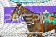 2026_PACEPIX_GP28082026_Race8_IdealTomado_WIN_WEB-10