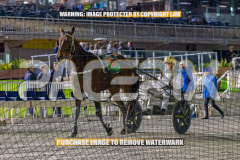 2026_PACEPIX_GP28082026_Race8_IdealTomado_WIN_WEB-12