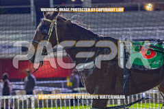 2026_PACEPIX_GP28082026_Race8_IdealTomado_WIN_WEB-13