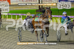 2026_PACEPIX_GP28082026_Race8_IdealTomado_WIN_WEB-6